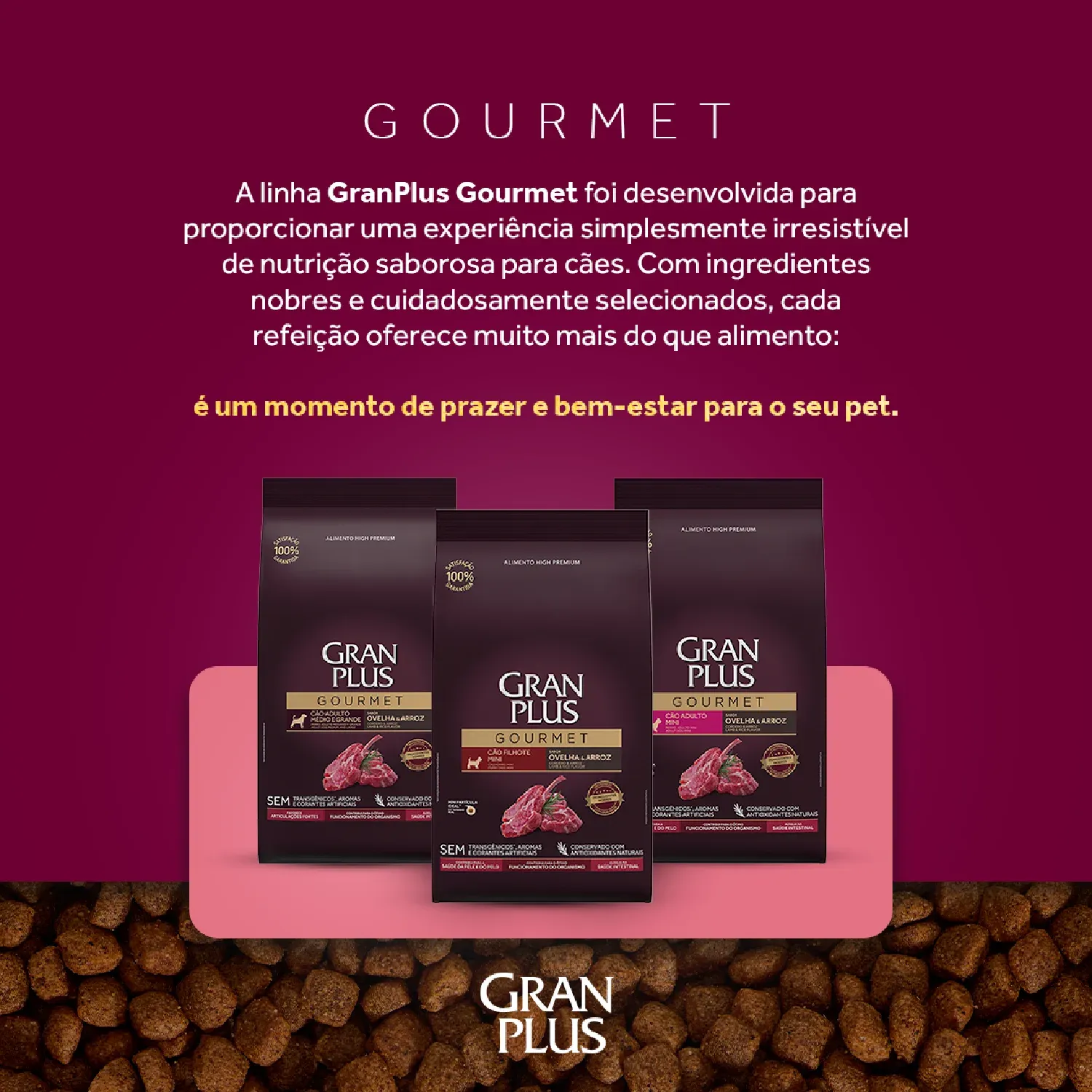 Racao GranPlus Gourmet Caes Adultos Mini Ovelha e Arroz grao linha